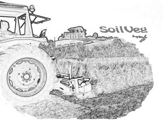 Soilveg