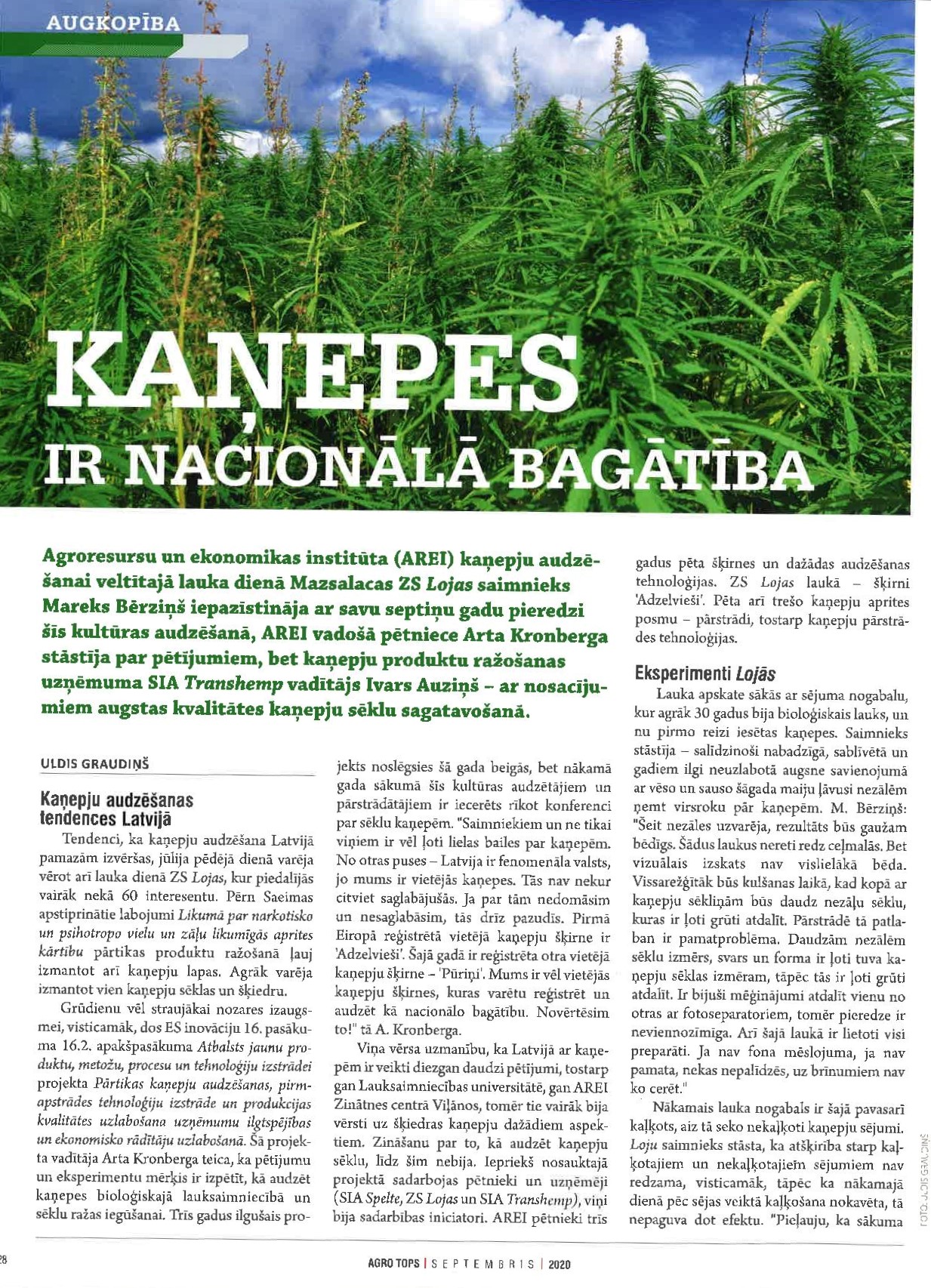 kanepes