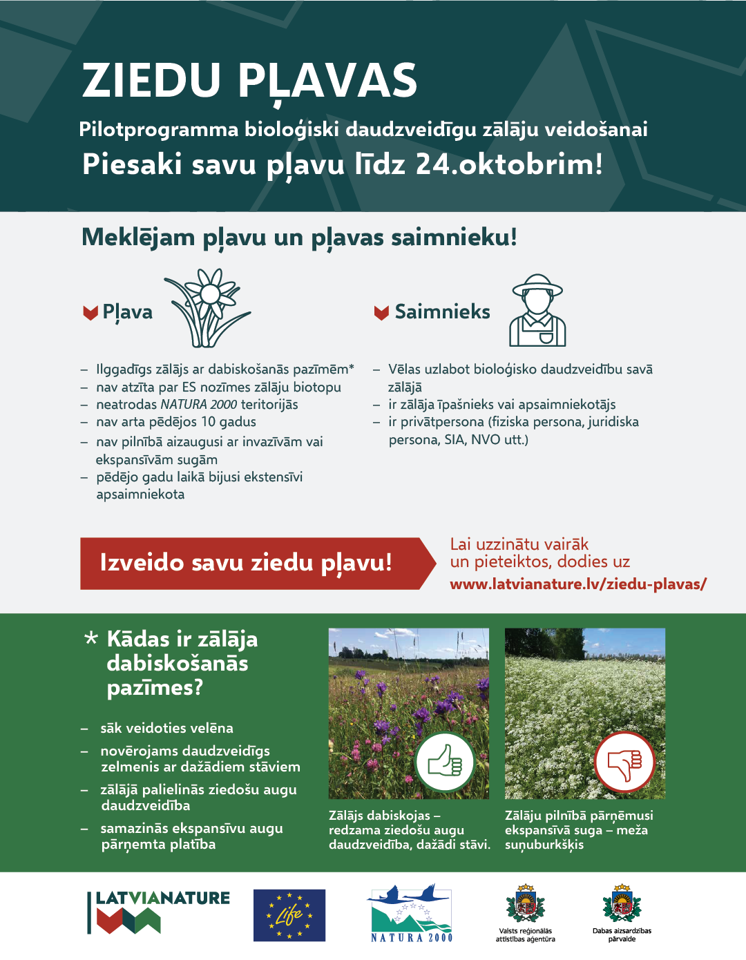 Infografiks