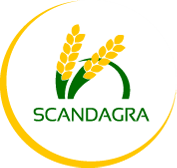 Scandagra