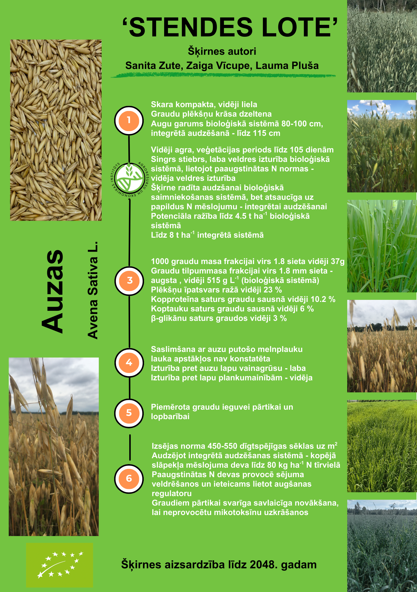 Auzas 'Stendes Lote' | Agroresursu un ekonomikas institūts