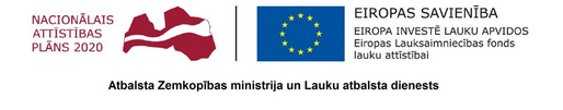 nacionalais attīstības plāns 2020