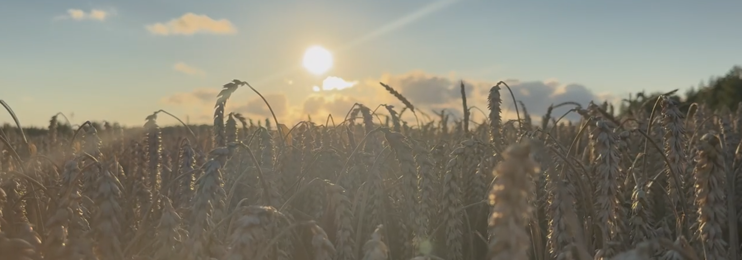 Ziemas kviesi Brigens 24