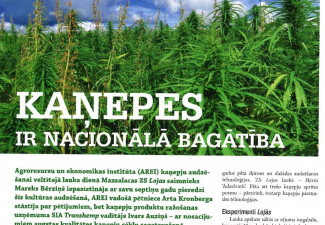 kanepes