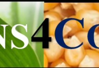 SENS4CORN LOGO