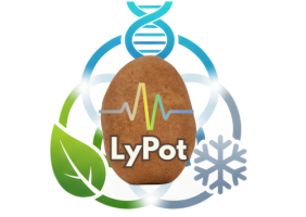 LyPot
