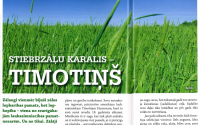 timotins