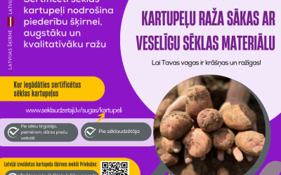 kartupeli