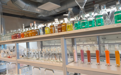 SFC sadarbības vizīte