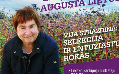 Strazdina