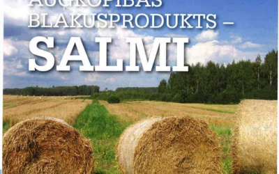 SALMI
