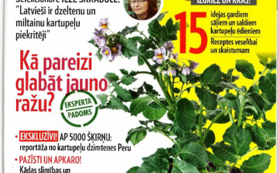 kartup