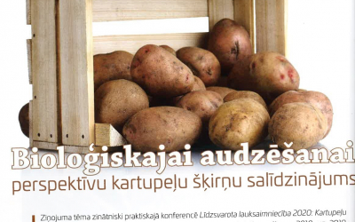 kartup