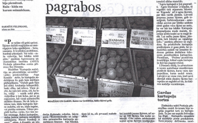 Kartupeli birst pagrabos