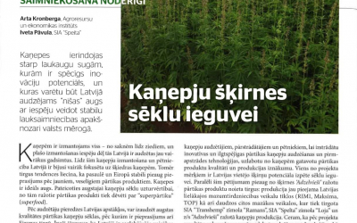 kanepes