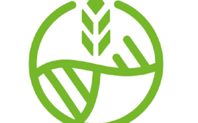 arei logo