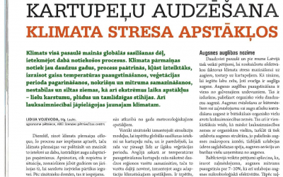 kartupeli