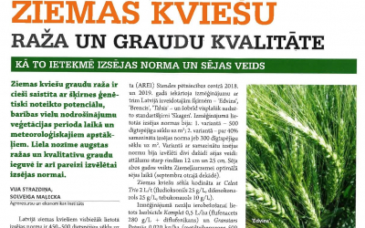 kv zzzzzzz