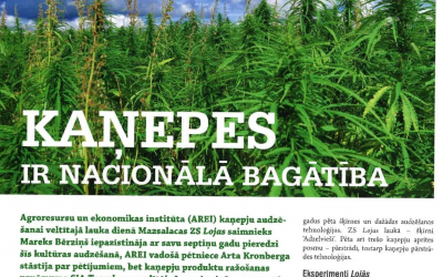 kanepes