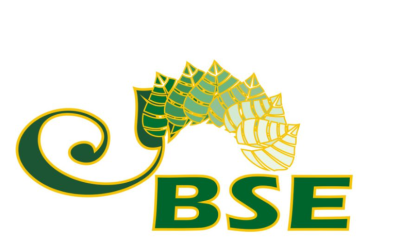 BSI Tartu