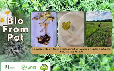 BIOFromPot_3cet