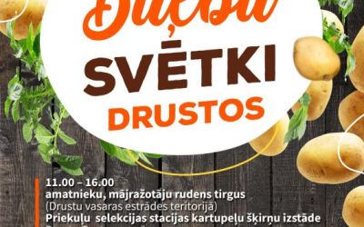 Bulbu svetki Drustos