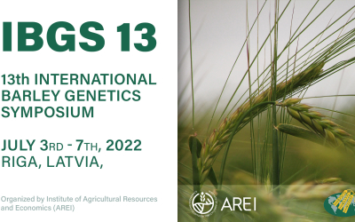 IBGS 13