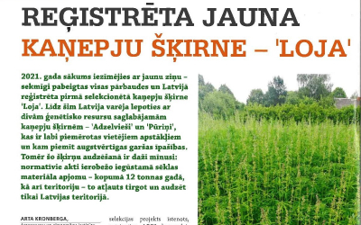 loja
