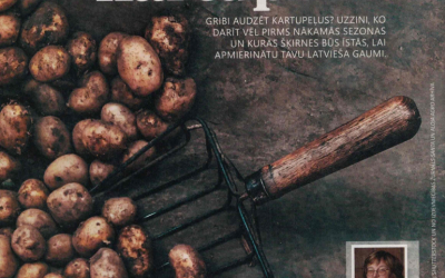 Latvieša perfektais kartupelis