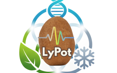 LyPot