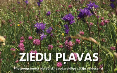 Ziedu plavas