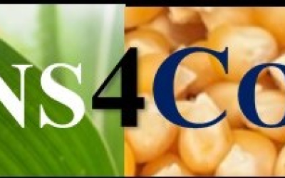 Pieslēdzamies Apvārsnis Eiropa programmas  Marijas Sklodovskas-Kirī darbību (MSCA) projektam SENS4CORN 