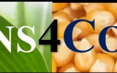 SENS4CORN LOGO