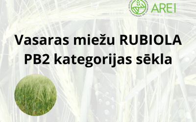 rubiola