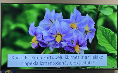 Seminars
