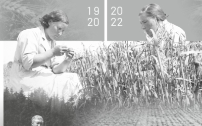 Gramata