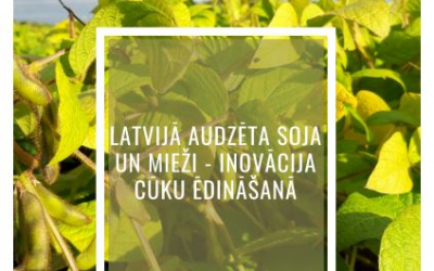 soja