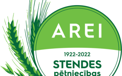 Stendei 100 logo