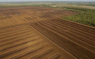 PeatTransform bilde