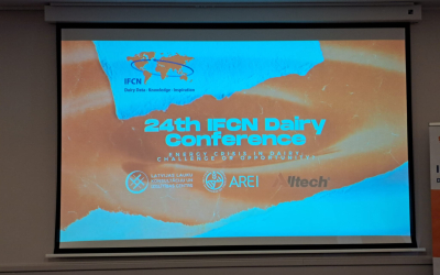konference