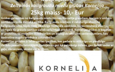 korn