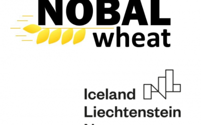 nobal
