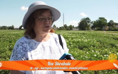 Ilze Skrabule Re TV